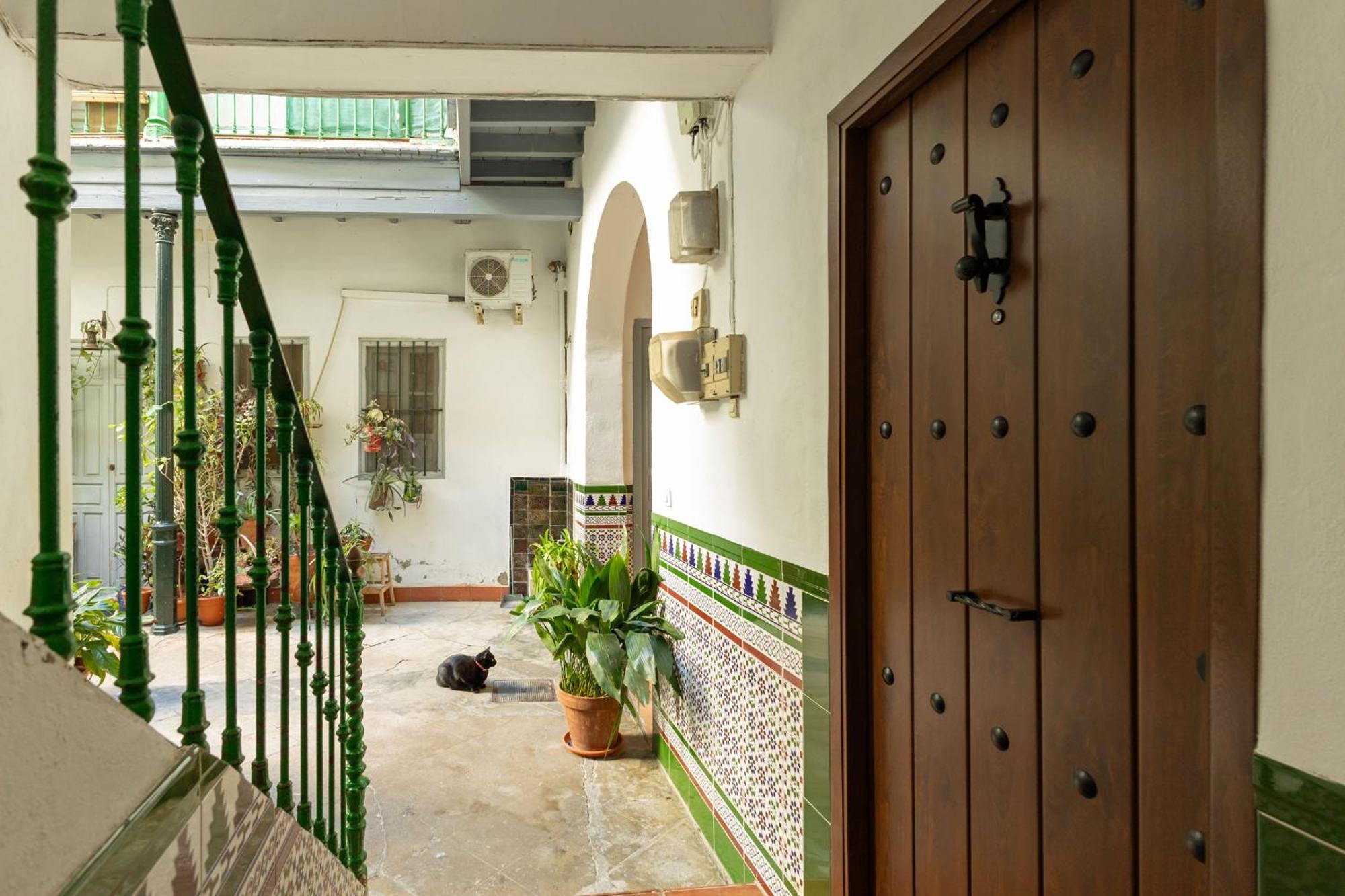 Modern Spacious Apartment Central Of Seville Exterior photo